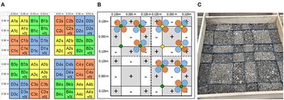 Soil Phosphorus Heterogeneity Improves Growth and P Nutrition of Norway Spruce Seedlings